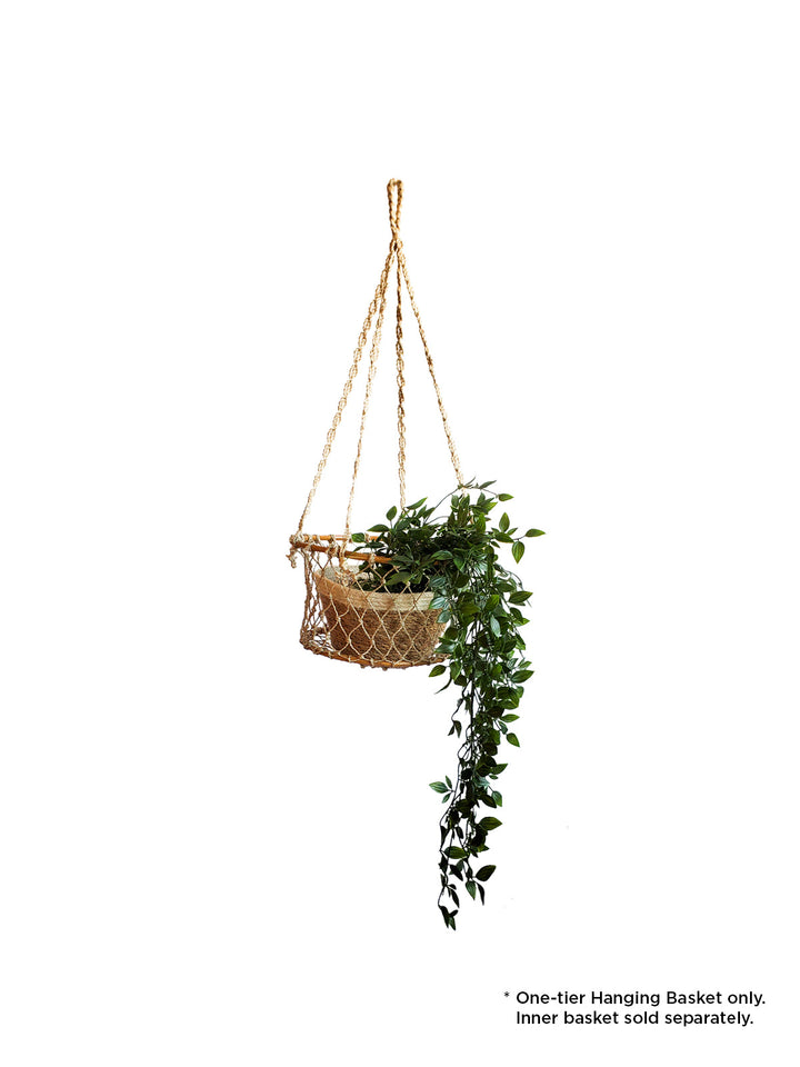 Jhuri Single Hanging Basket by KORISSA