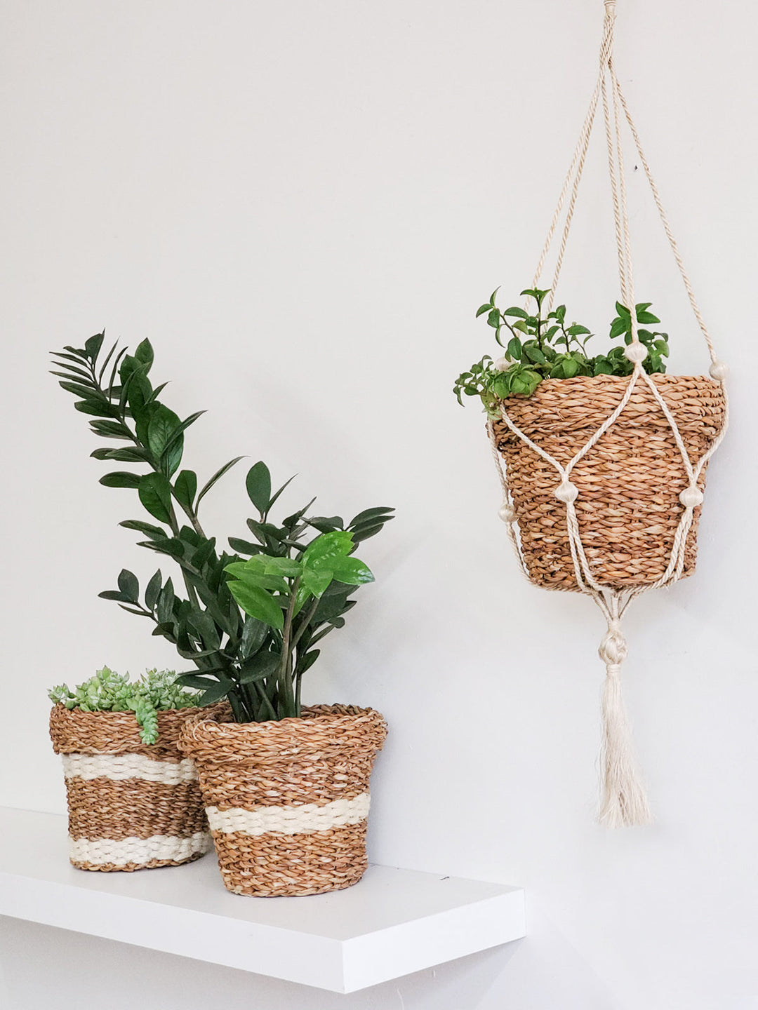 Savar Nesting Plant Basket by KORISSA